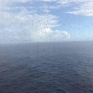 Meet your Posher, Ginnie